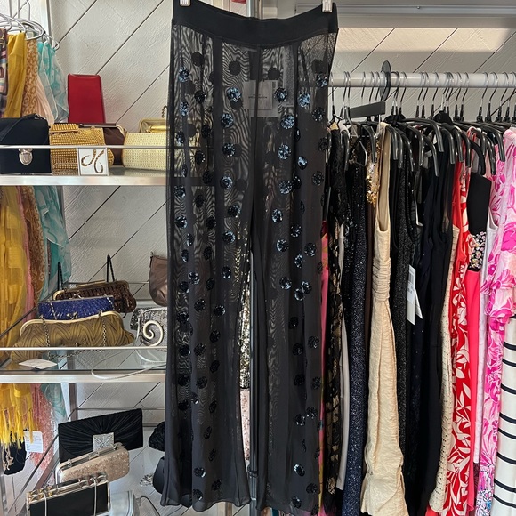 Zara Pants - NWT Zara Limited Edition Black Mesh Sequined Pant